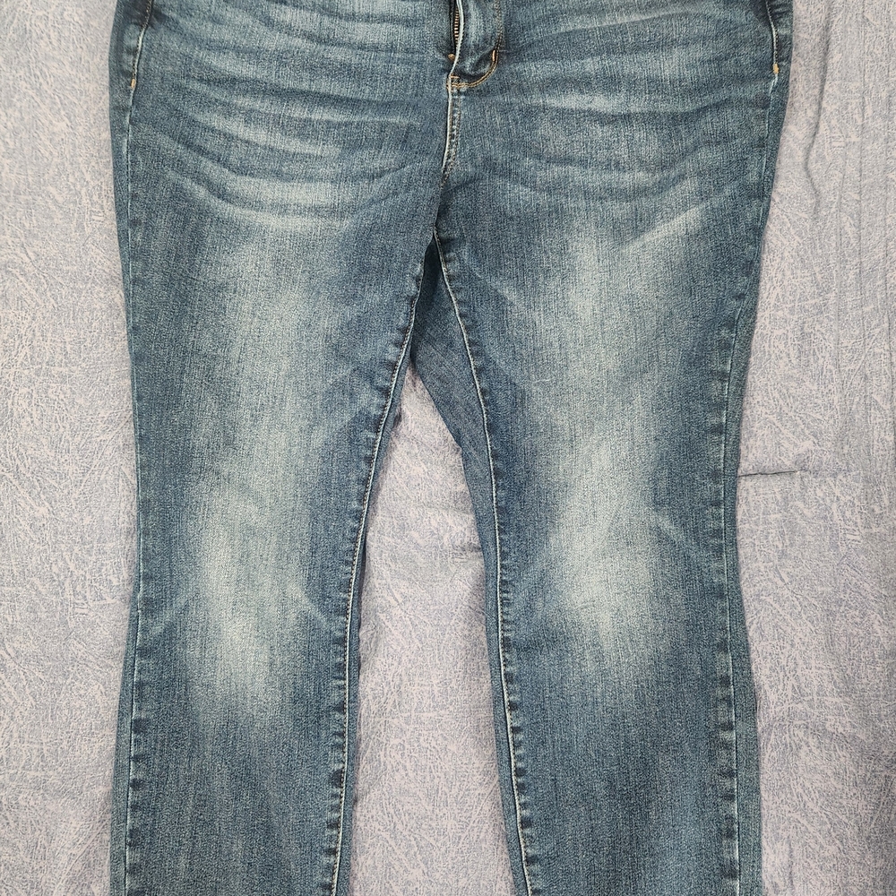 Judy Blue Classic Denim Skinny Jeans